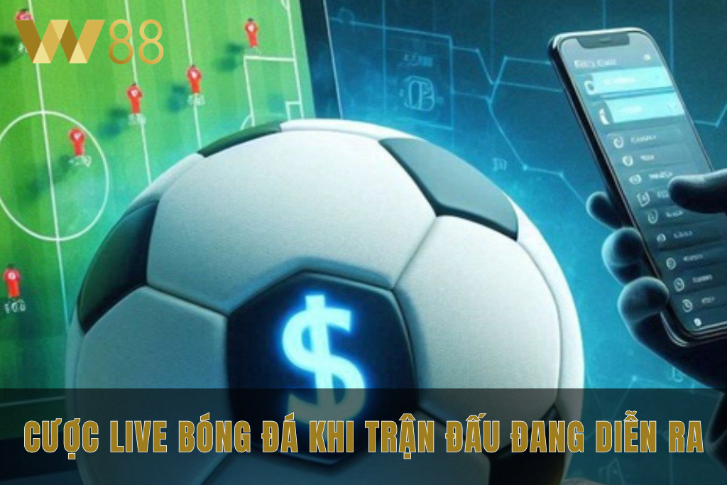 Người chơi theo dõi trận bóng và bảng kèo live trên điện thoại.